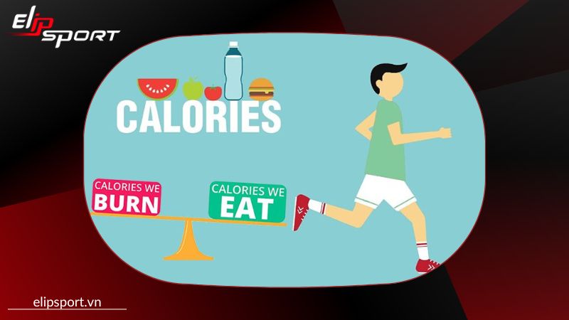 Để duy tr&igrave; c&acirc;n bằng năng lượng trong cơ thể, ch&uacute;ng ta cần đốt ch&aacute;y calo để tr&aacute;nh t&iacute;ch tụ mỡ thừa