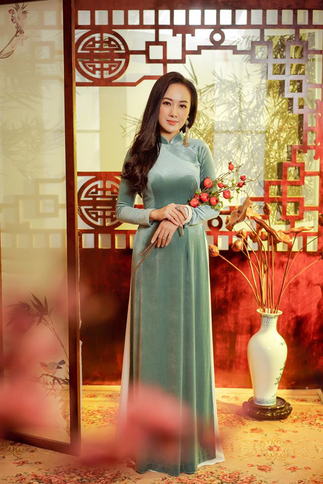 Ho&agrave;i Anh elipsort
