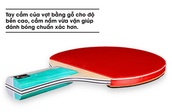 vợt b&oacute;ng b&agrave;n gi&aacute; bao nhi&ecirc;u