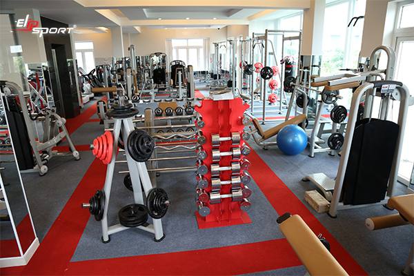 Dụng cụ m&aacute;y tập gym, thể h&igrave;nh tại TP.Long Xuy&ecirc;n An Giang