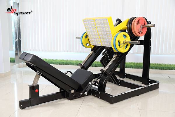 Dụng cụ m&aacute;y tập gym, thể h&igrave;nh tại Ph&uacute; Nhuận