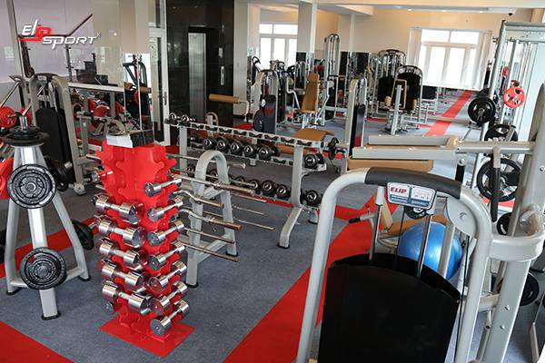 Dụng cụ m&aacute;y tập gym, thể h&igrave;nh tại Quận 12 - TP. HCM