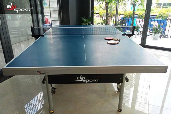 Top 3 cửa h&agrave;ng b&aacute;n vợt b&agrave;n b&oacute;ng b&agrave;n uy t&iacute;n gi&aacute; tốt Đồng Nai