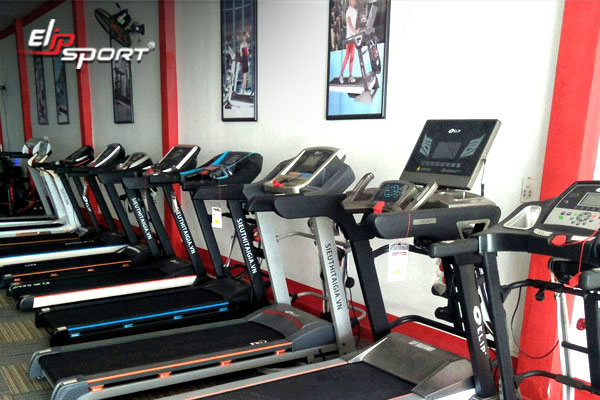 elipsport chi nh&aacute;nh ph&uacute; nhuận