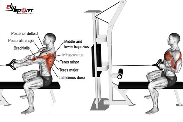 lịch tập gym cho người mới ng&agrave;y thứ 2