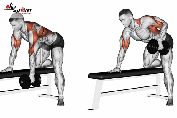 lịch tập gym cho người mới với b&agrave;i n&acirc;ng tạ đơn
