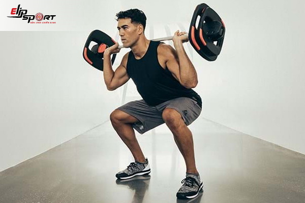 lịch tập gym cho người mới với b&agrave;i squat