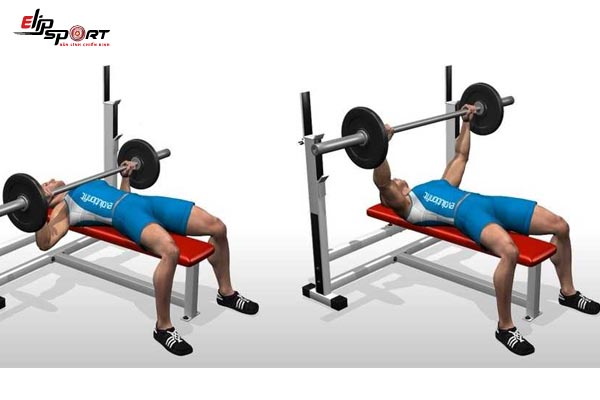 lịch tập gym cho người mới ng&agrave;y thứ nhất