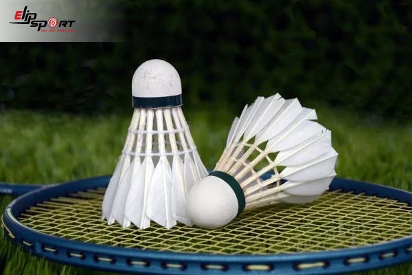 cầu l&ocirc;ng yonex as 40
