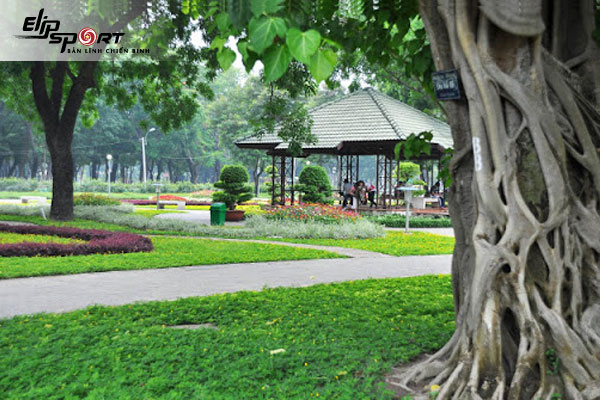 Chạy bộ ở G&ograve; Vấp, Hồ Ch&iacute; Minh