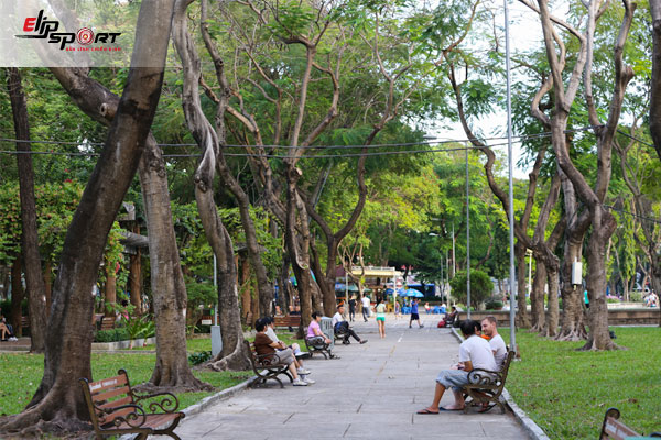 chạy bộ ở Quận 10, Hồ Ch&iacute; Minh