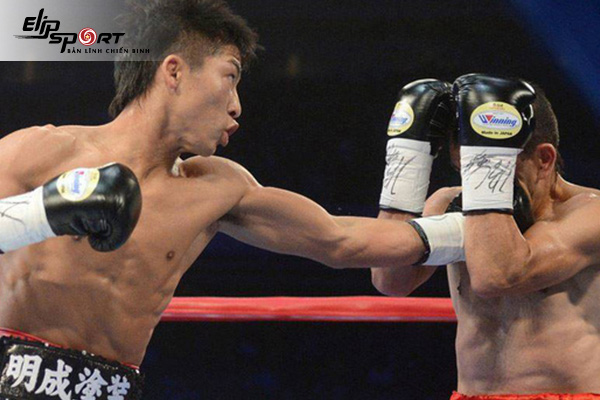 boxing TP. Bảo Lộc, L&acirc;m Đồng