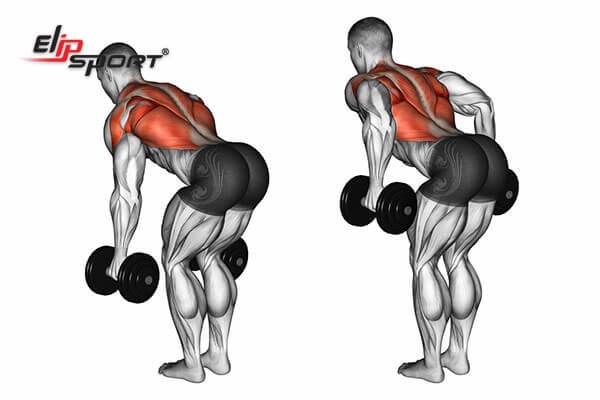 hướng dẫn c&aacute;ch tập tạ tay 8kg