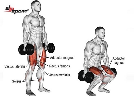 hướng dẫn c&aacute;ch tập tạ tay 8kg