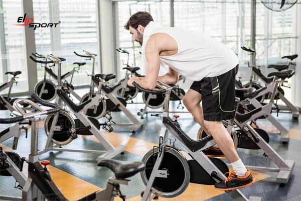 thương hiệu xe đạp tập gym tốt nhất
