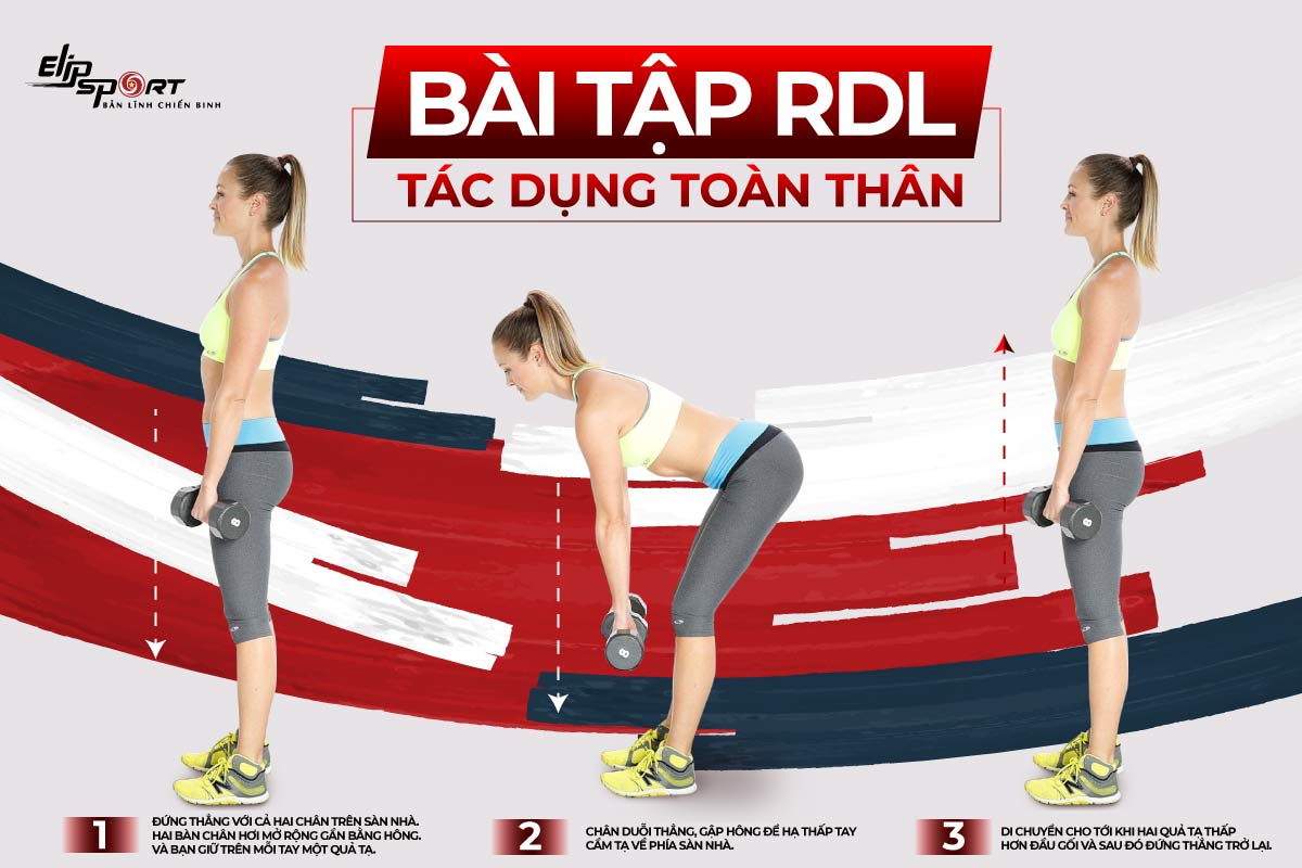 b&agrave;i tập với tạ tay cho nữ