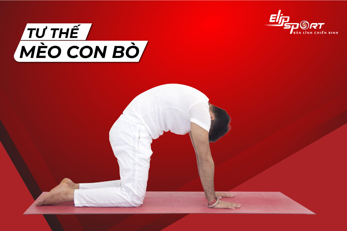 B&agrave;i tập thể dục tăng cường sinh l&yacute; nam