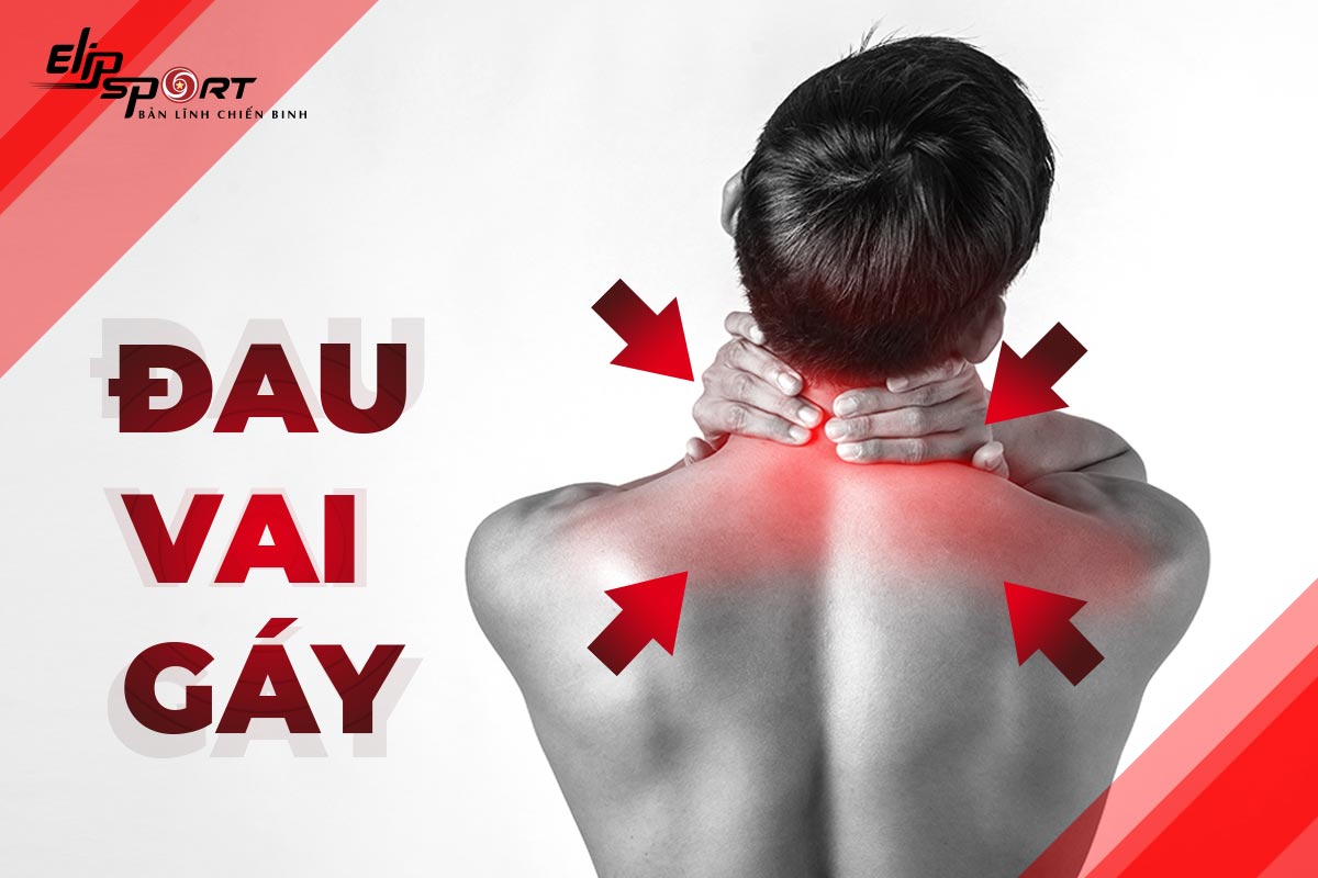bệnh đau vai g&aacute;y