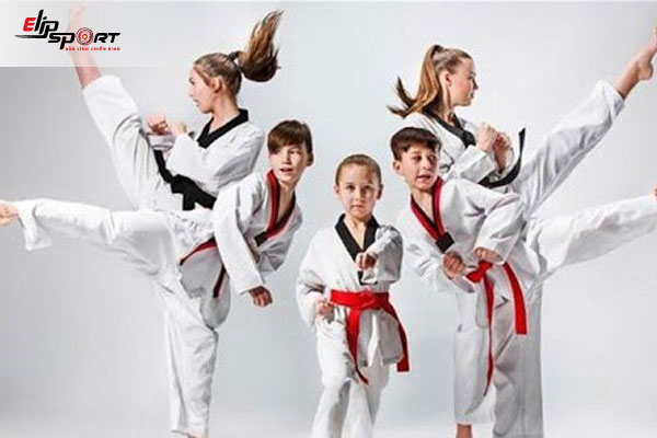 V&otilde; karate c&oacute; mấy đai