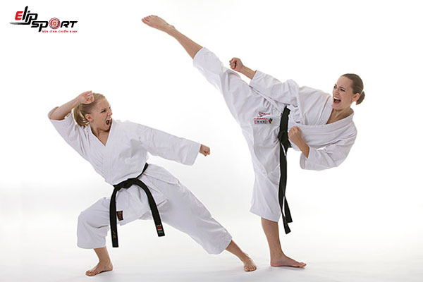 V&otilde; karate c&oacute; mấy đai