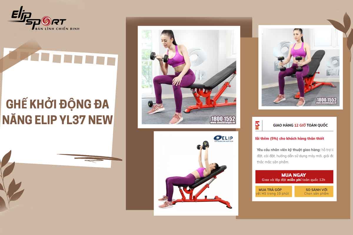 Ghế nằm tập tạ ELIP YL37 New