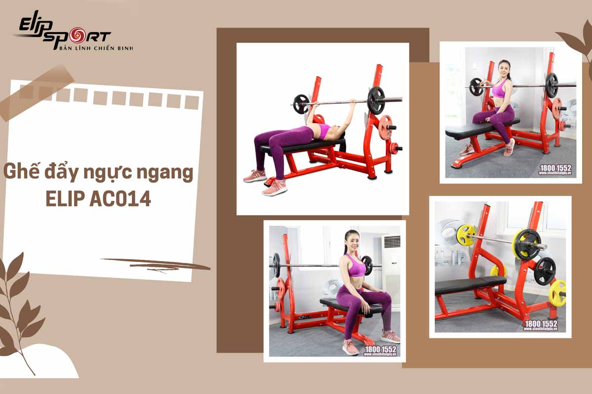 Ghế đẩy ngực ngang ELIP AC014