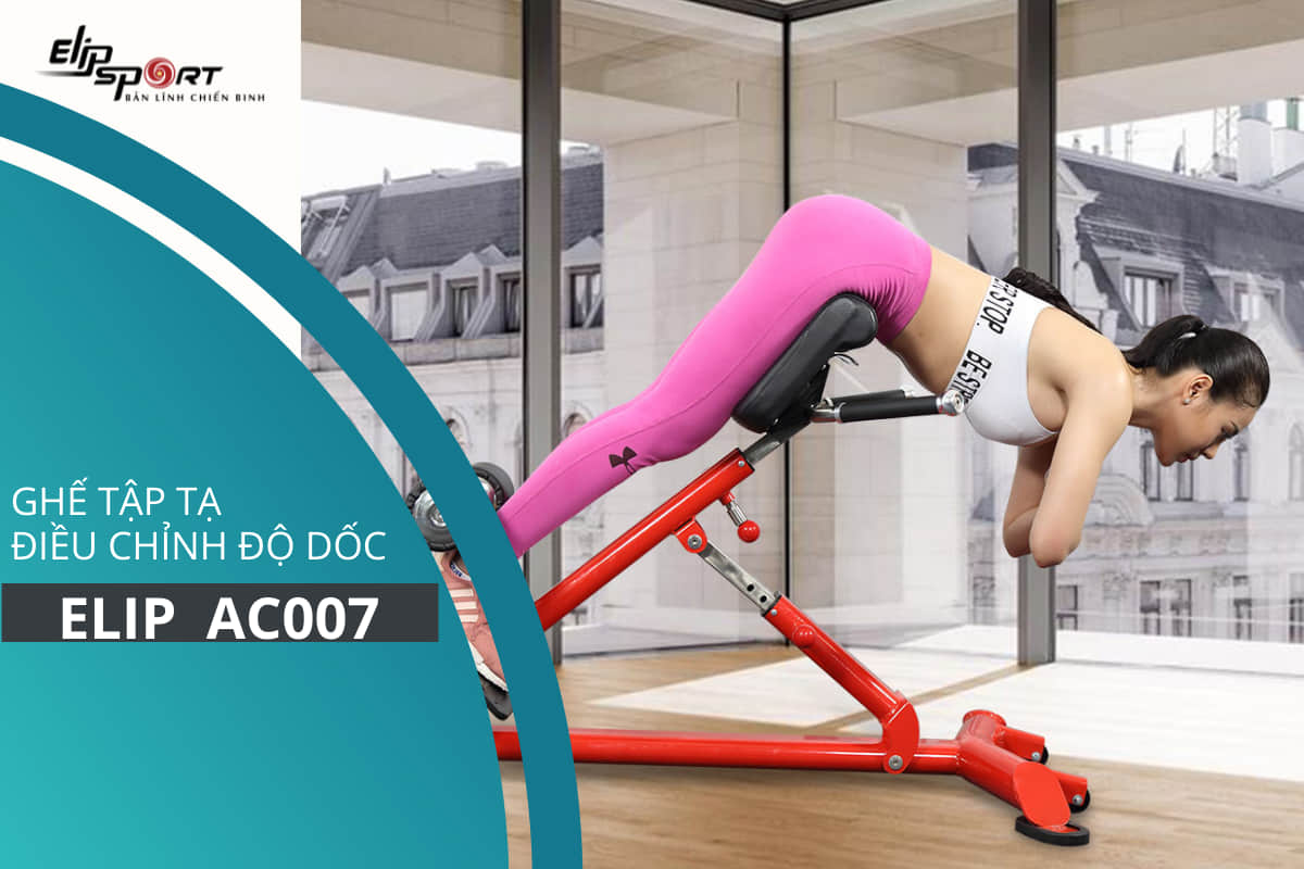 Ghế tập lưng ELIP AC007