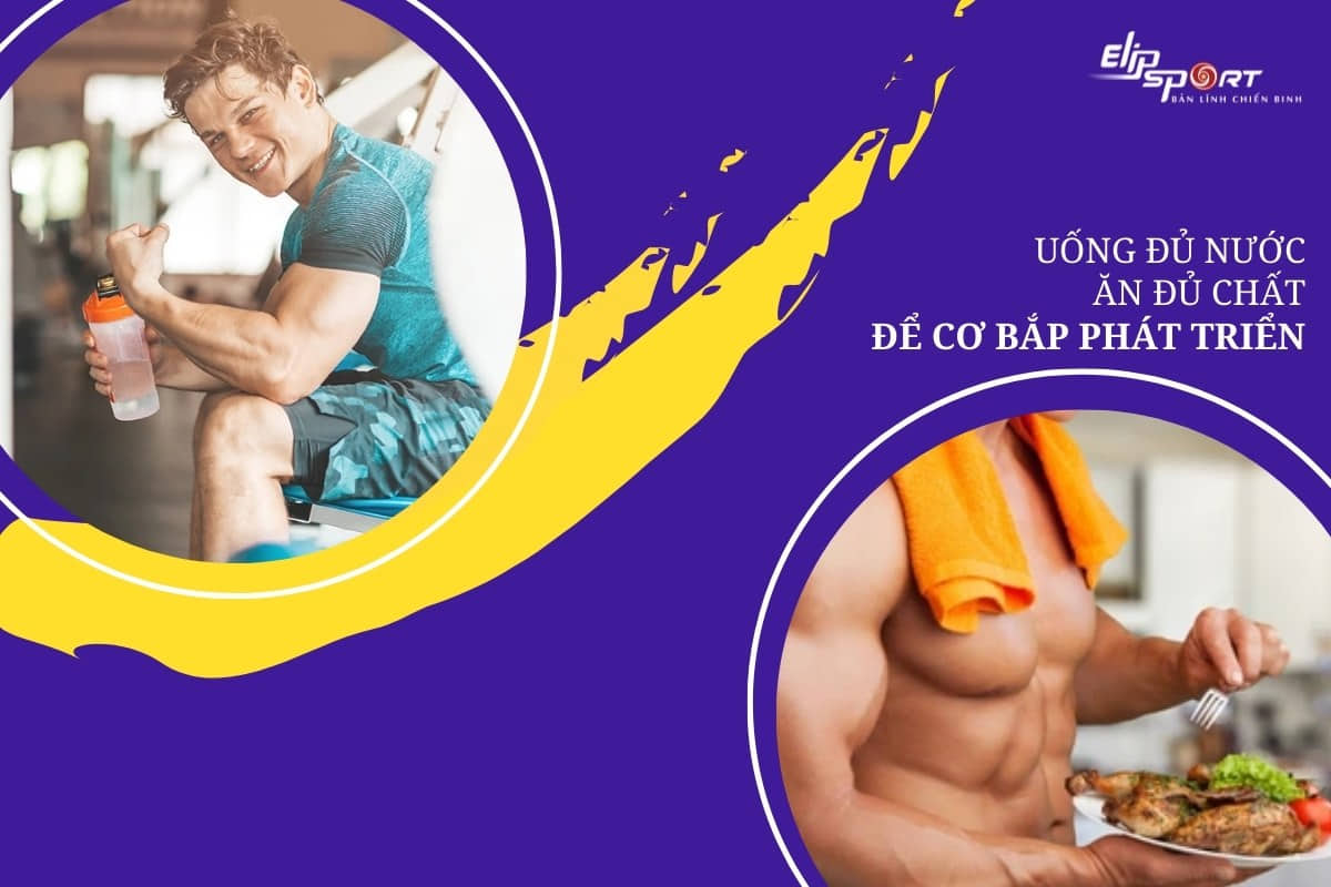 Dinh dưỡng rất quan trọng để cơ bắp ph&aacute;t triển