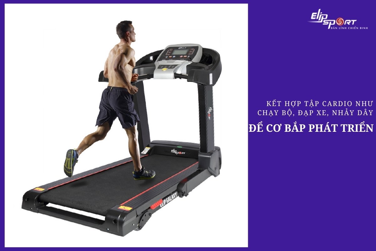 kết hợp cardio để cơ bắp ph&aacute;t triển