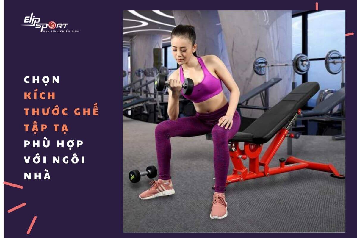 ghế tập tạ đơn