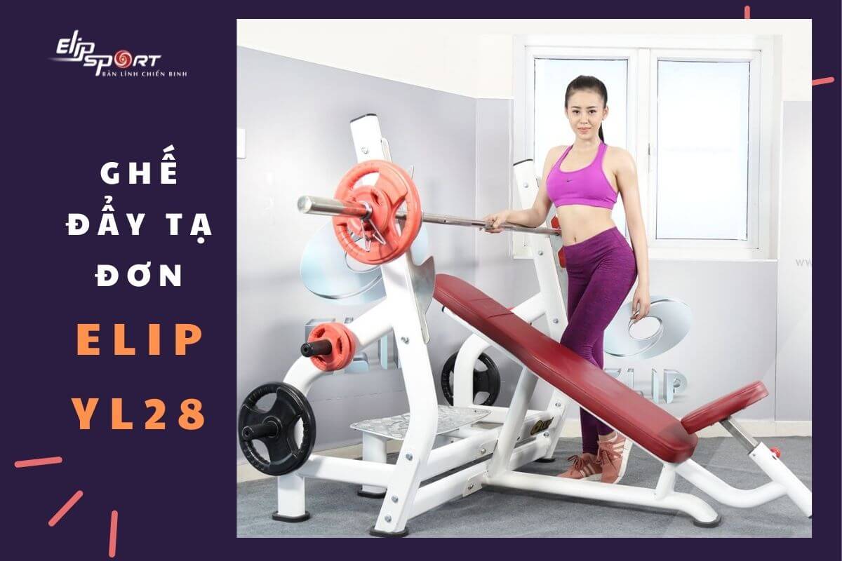 ghế tập tạ đơn