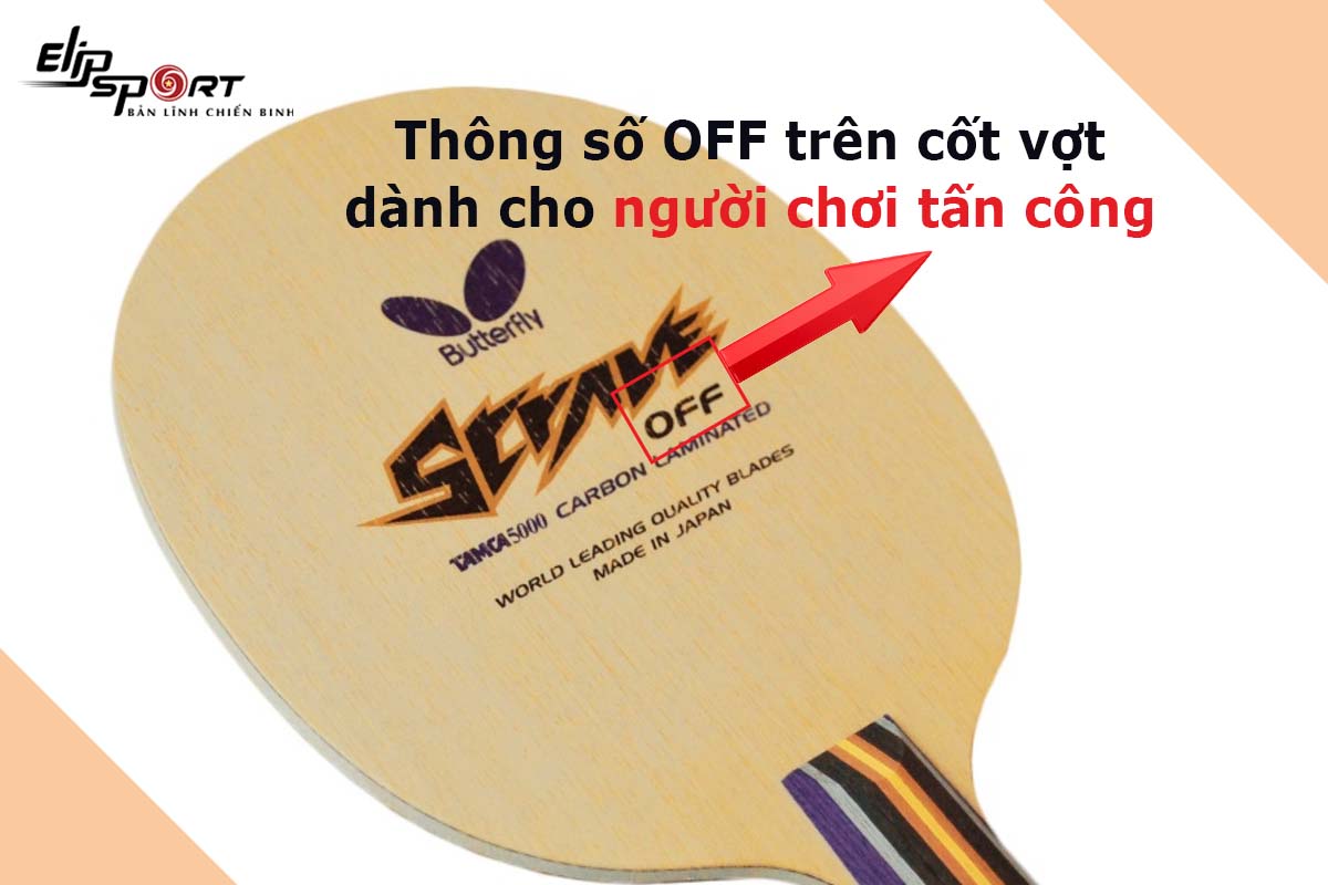 th&ocirc;ng số cốt vợt b&oacute;ng b&agrave;n