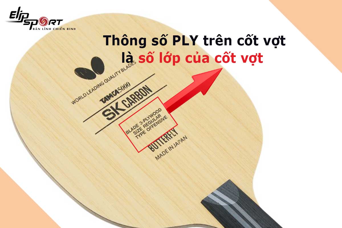 th&ocirc;ng số cốt vợt b&oacute;ng b&agrave;n