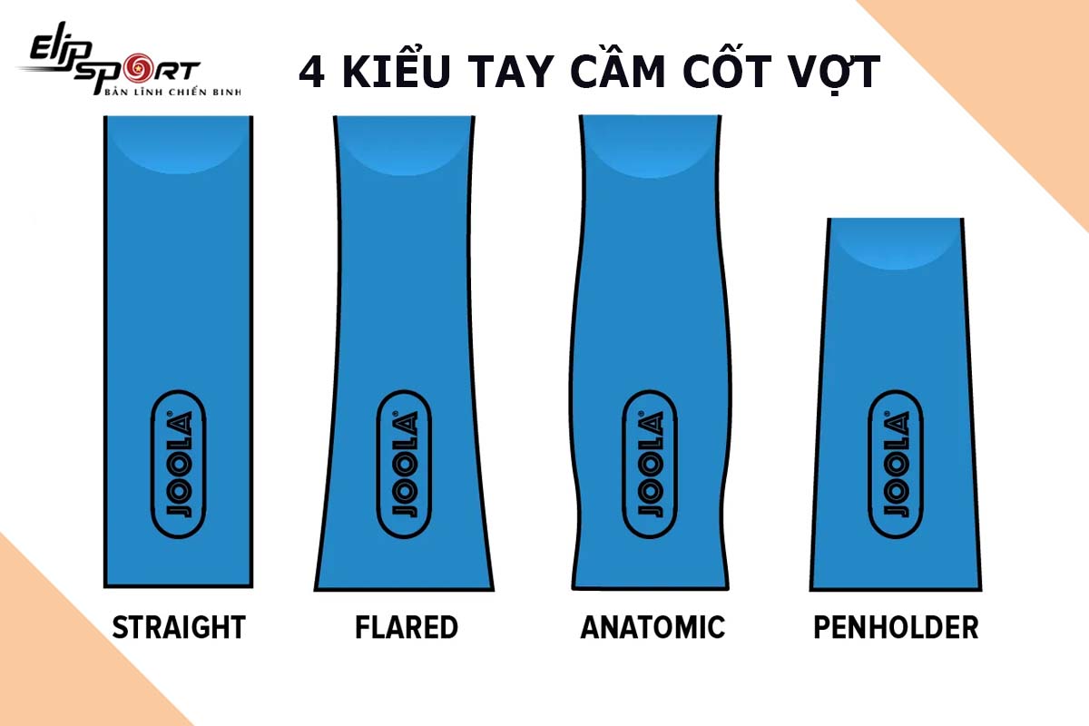 th&ocirc;ng số cốt vợt b&oacute;ng b&agrave;n