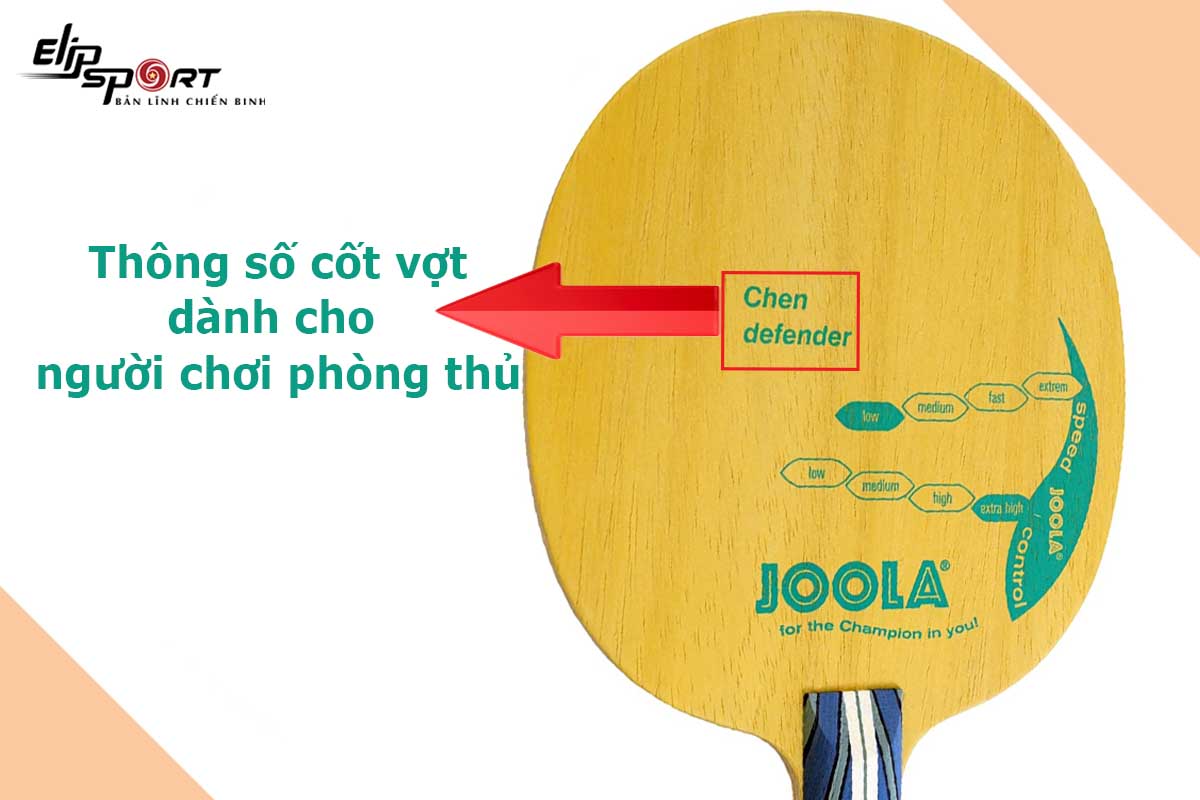th&ocirc;ng số cốt vợt b&oacute;ng b&agrave;n