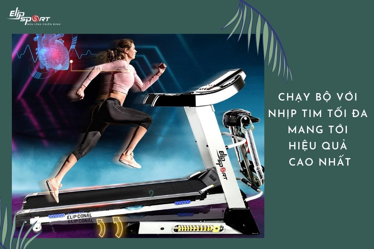 hướng dẫn sử dụng máy chạy bộ ELIP Conal đa năng