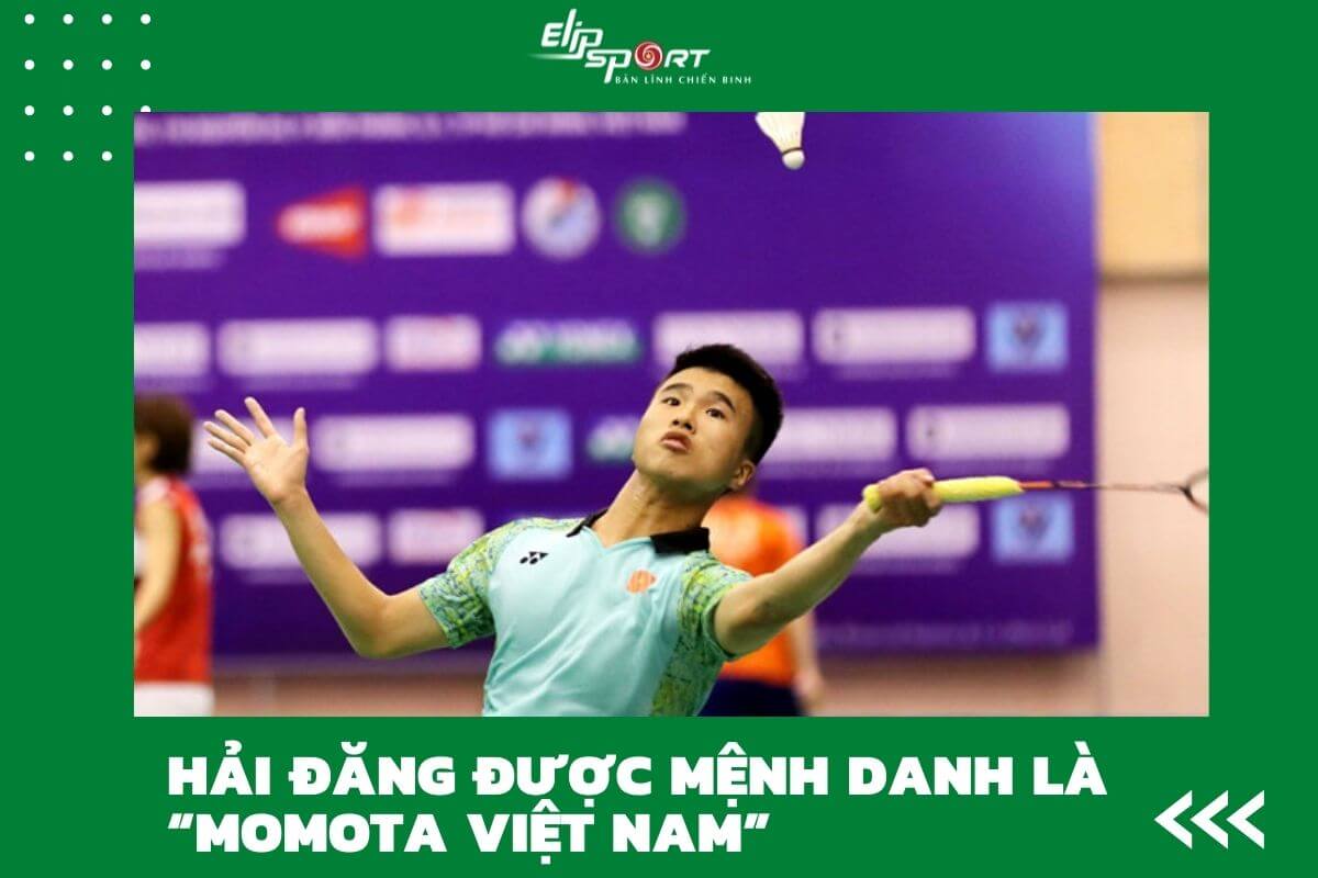 cầu l&ocirc;ng việt nam