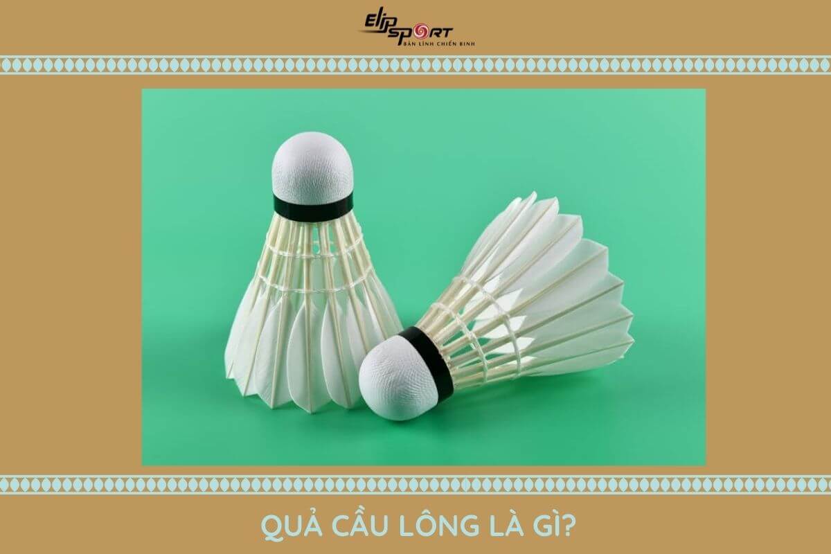 cầu l&ocirc;ng hải yến