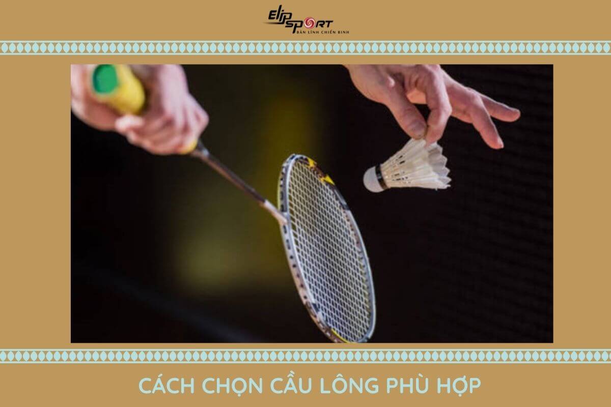 cầu l&ocirc;ng hải yến