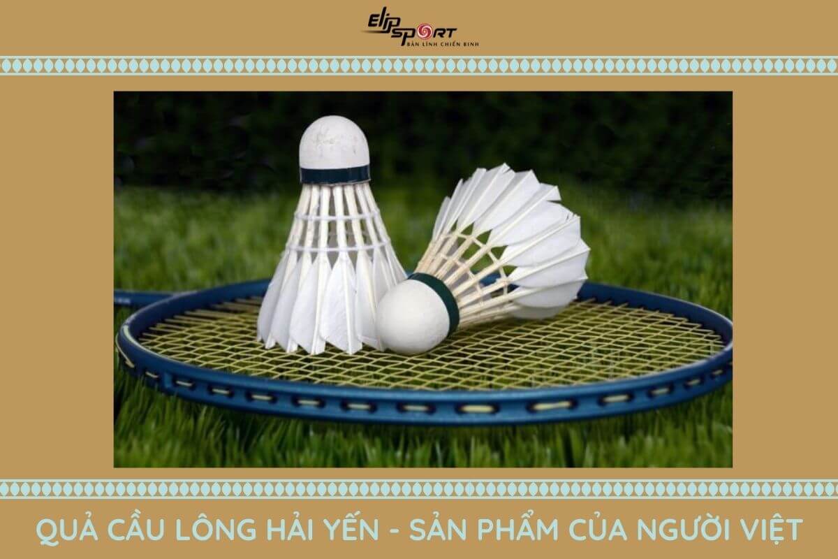 cầu l&ocirc;ng hải yến