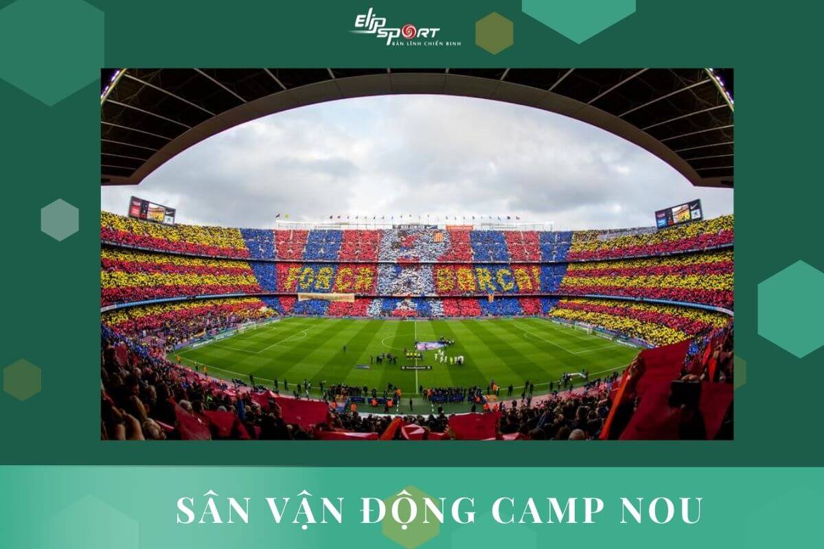 s&acirc;n b&oacute;ng đ&aacute;