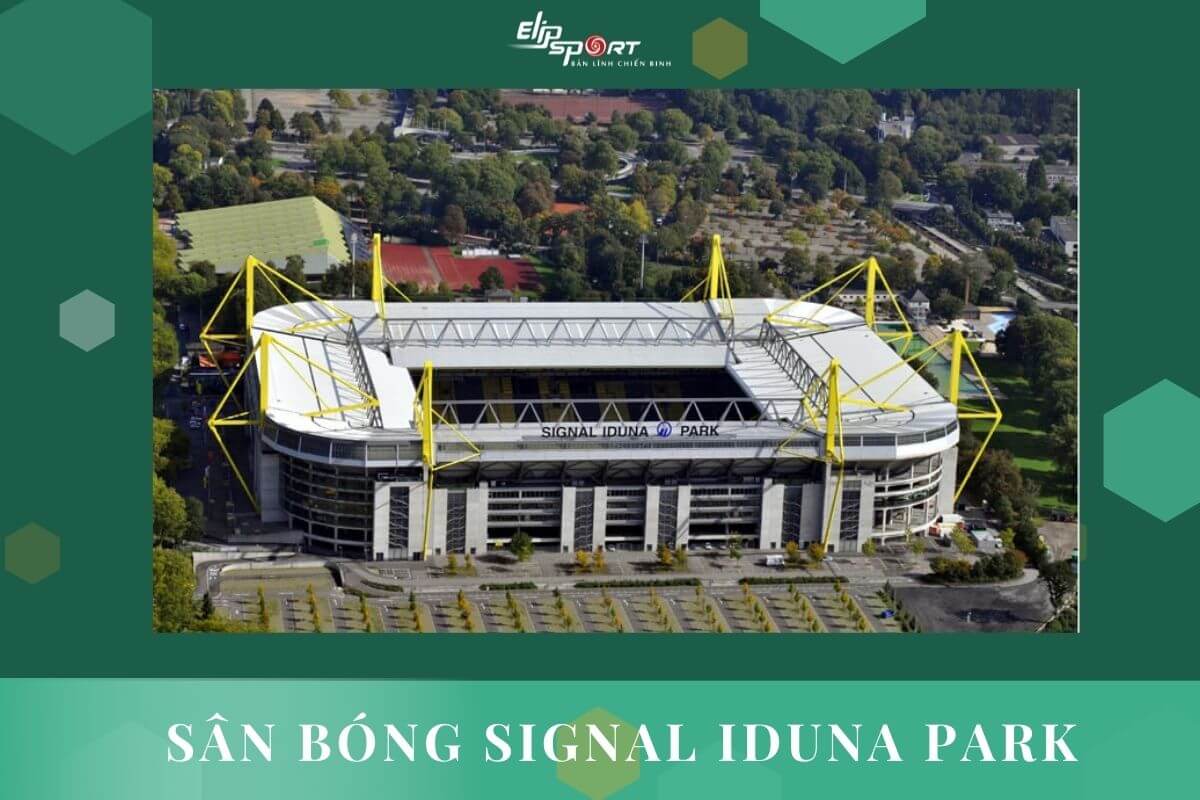 s&acirc;n b&oacute;ng đ&aacute;