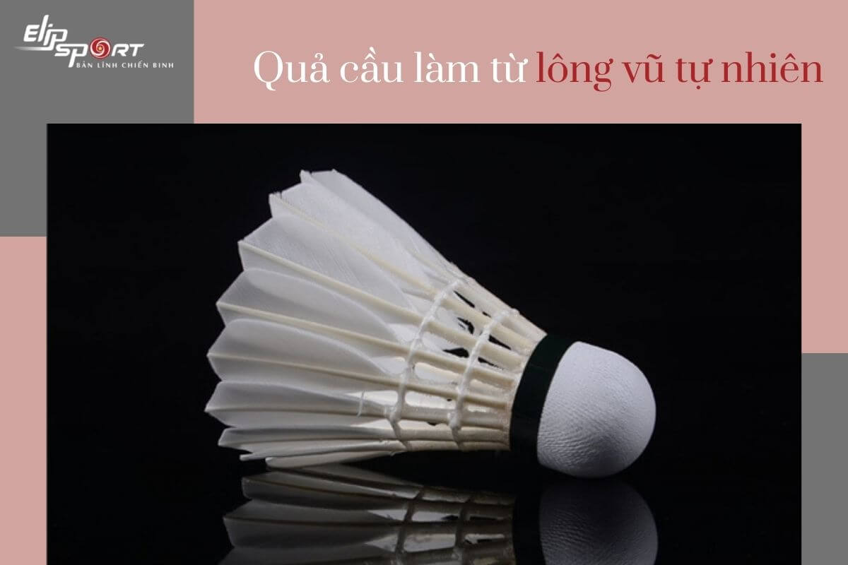 quả cầu l&ocirc;ng