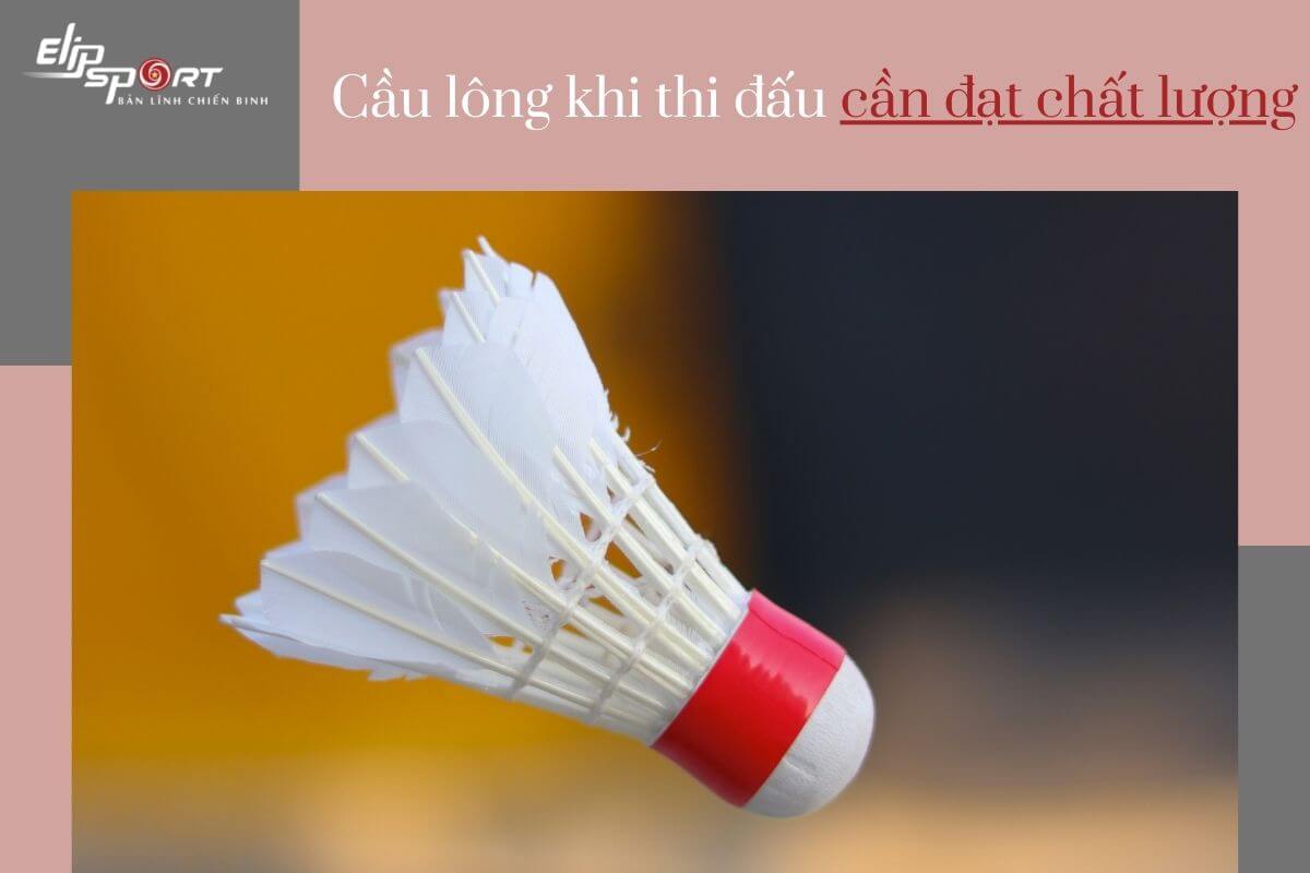 quả cầu l&ocirc;ng