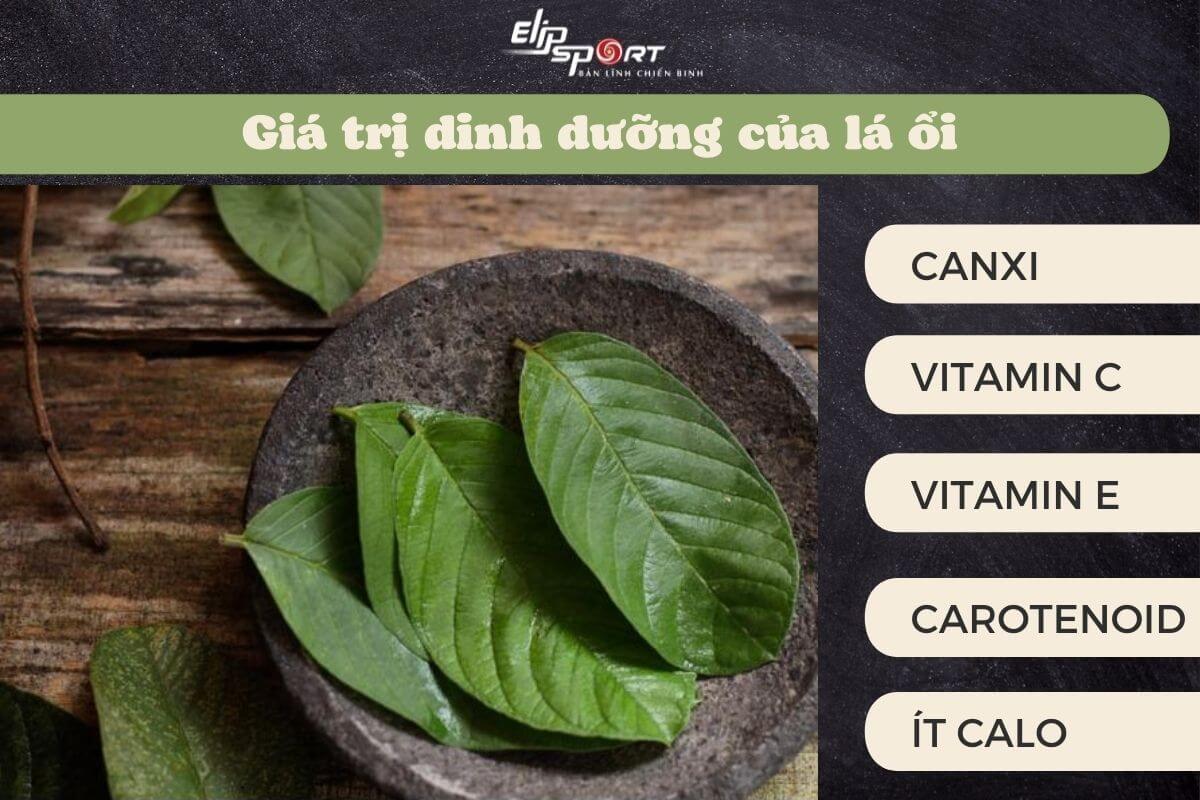 uống nước l&aacute; ổi giảm c&acirc;n