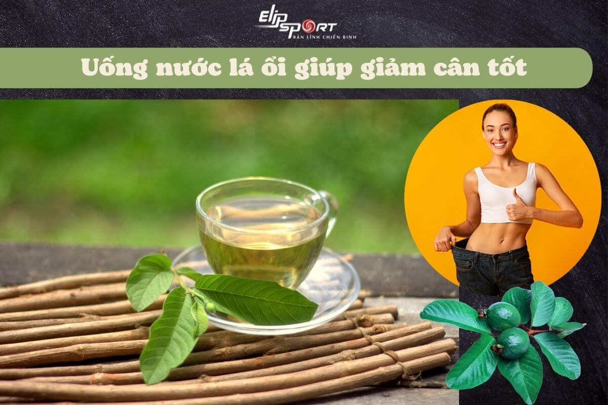 uống nước l&aacute; ổi giảm c&acirc;n