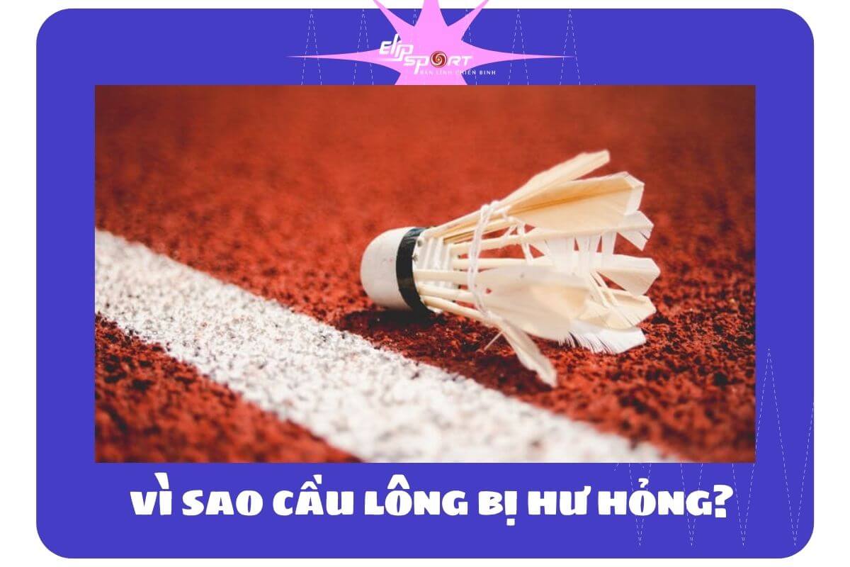 cầu l&ocirc;ng 3 sao