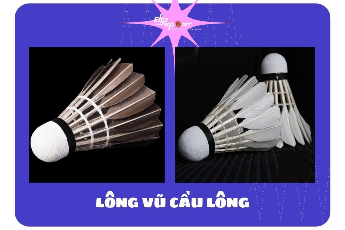 cầu l&ocirc;ng 3 sao