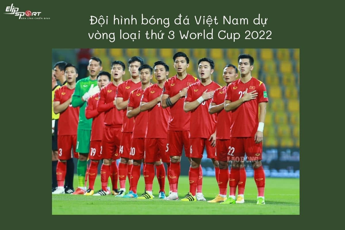 đội h&igrave;nh b&oacute;ng đ&aacute; Việt Nam dự World Cup