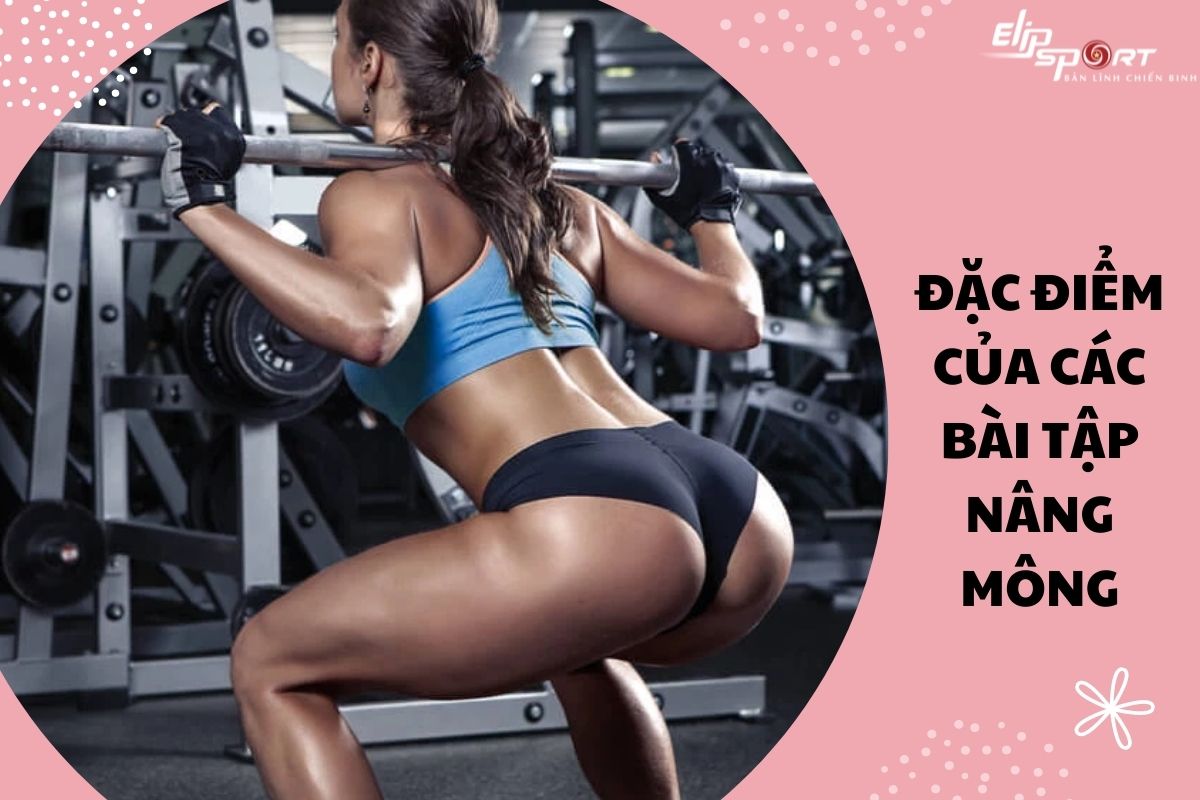 B&agrave;i tập n&acirc;ng m&ocirc;ng giảm eo